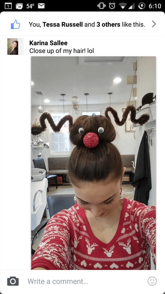 reindeer hair